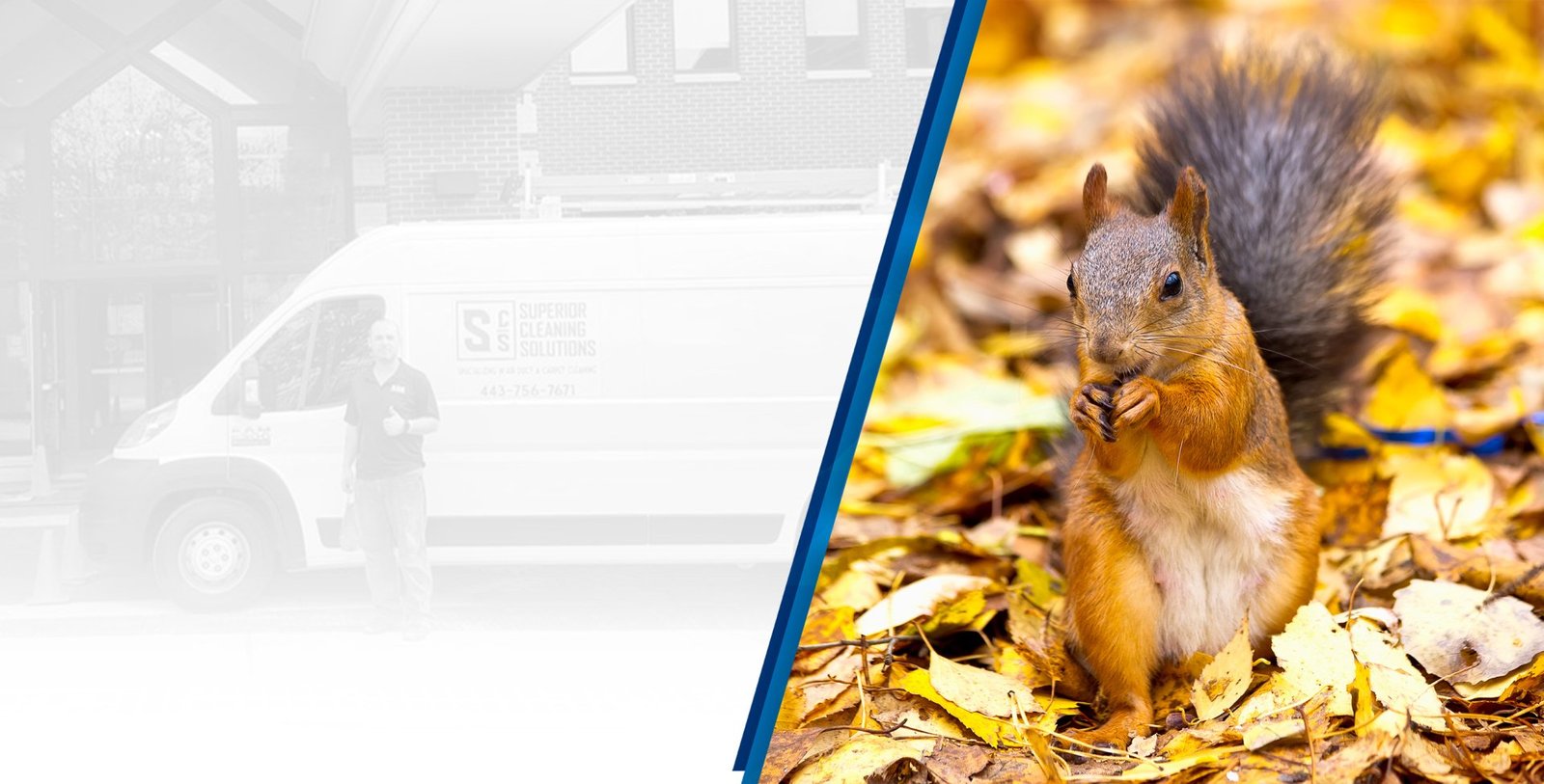 Keep Critters Outdoors with Varmint Guards