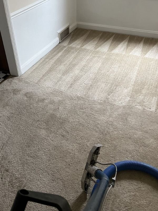 Pet Odor Urine Removal In Lochearn Md