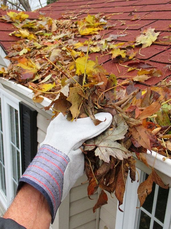 Professional Gutter Cleaning Service