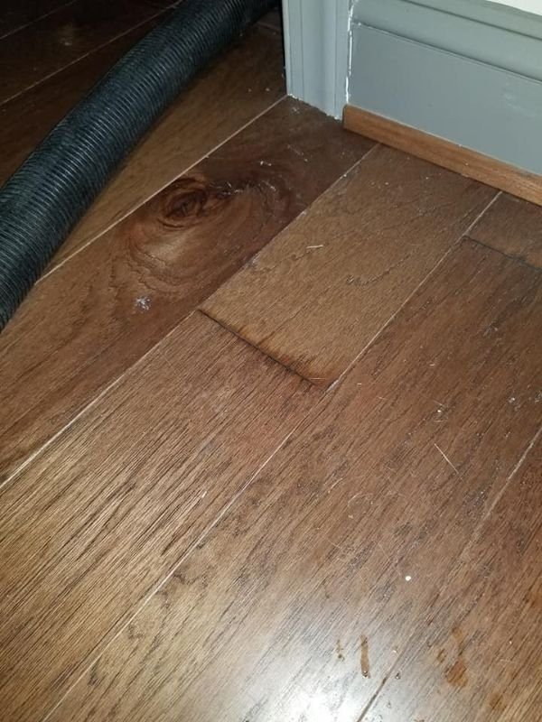 Professional Hardwood Floor Cleaning Service