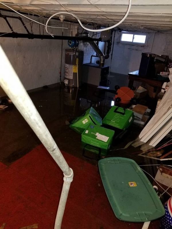 Professional Water Extraction Service