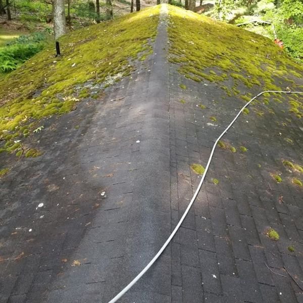 The Best Roof Cleaning Service