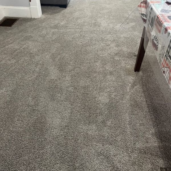 The Best Specialty Stain Removal