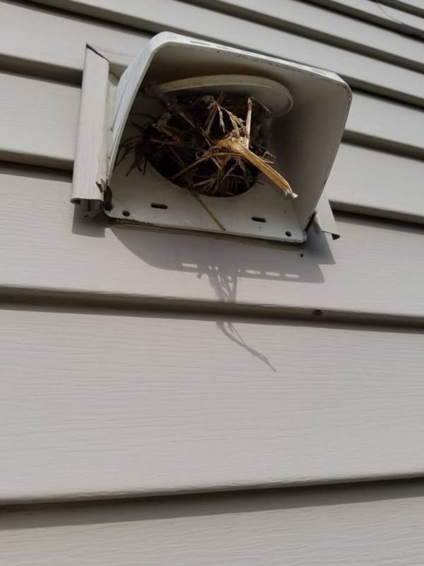 Varmint Guard Installation In Bel Air Md