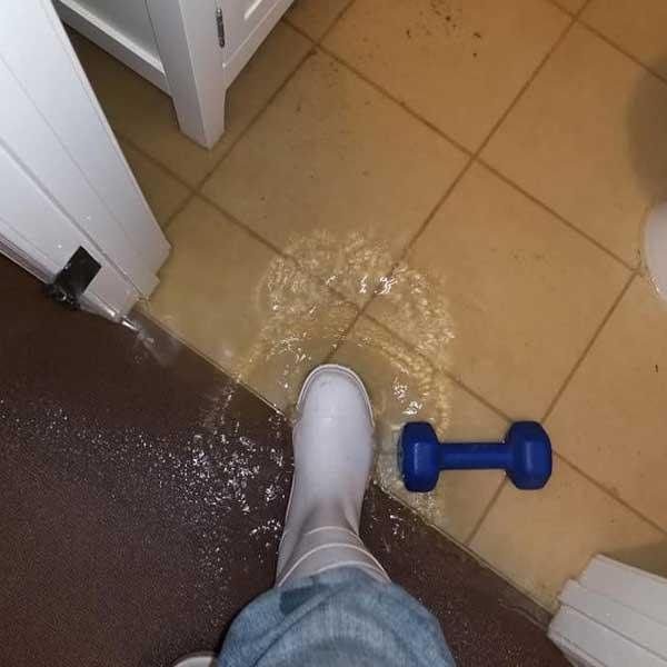 Water Extraction In Edgewood Md